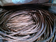 近藤商店ピカ線